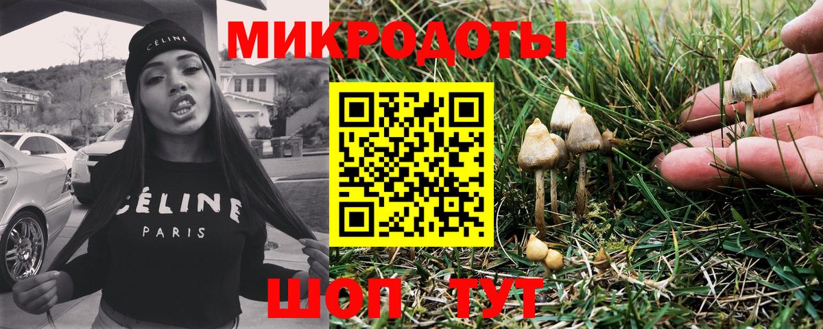 Галлюциногенные грибы Psilocybine cubensis  Вход с VPN  Евпатория  где купить   Галлюциногенные грибы Cubensis 